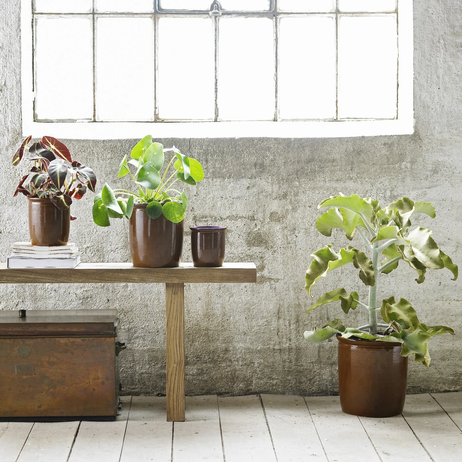 Keukenware Verkoop -Keukenware Verkoop 33555 01 02 5e8dbc5a29