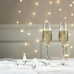 Karlevi Champagneglas 4 Stuks -Keukenware Verkoop 37095 01 7 EnvironmentImage c57a303ed1