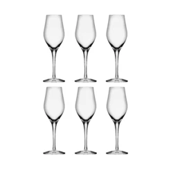 Orrefors Sense Champagneglas 25,5 Cl 6-pack