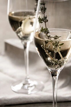 Orrefors Sense Champagneglas 25,5 Cl 6-pack 10 Orrefors Sense Champagneglas 25,5 Cl 6-pack -Keukenware Verkoop 582248 01 41 EnvironmentImage 83b4b736c4